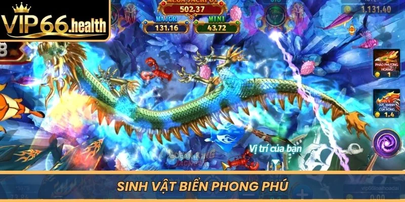 Sinh vật biển phong phú 