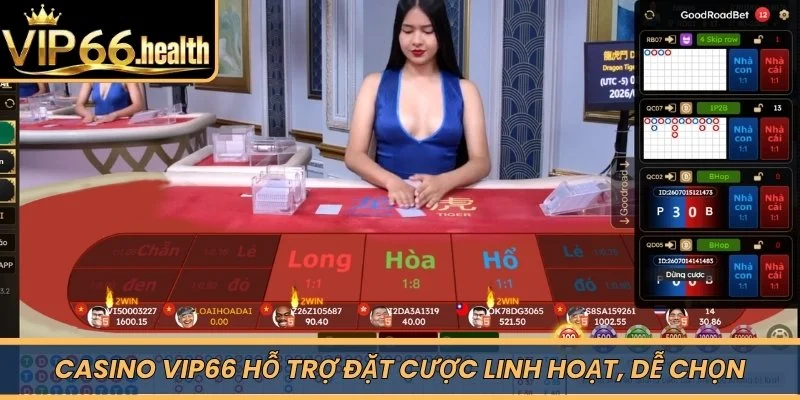 Casino VIP66 hỗ trợ đặt cược linh hoạt, dễ chọn