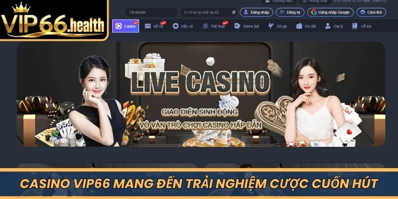 Casino VIP66 mang đến trải nghiệm cược cuốn hút