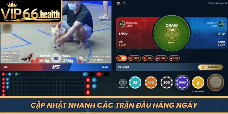 Cập nhật nhanh các trận đấu hàng ngày 