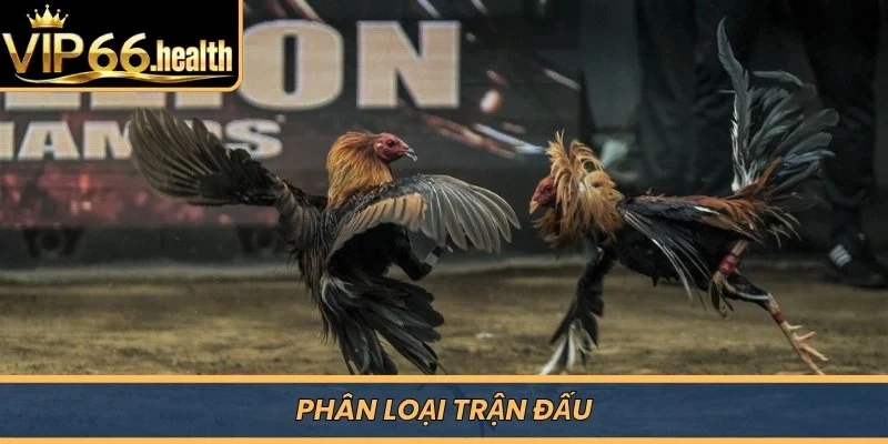 Phân loại trận đấu 