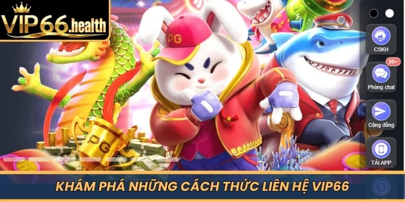 Khám phá những cách thức liên hệ VIP66