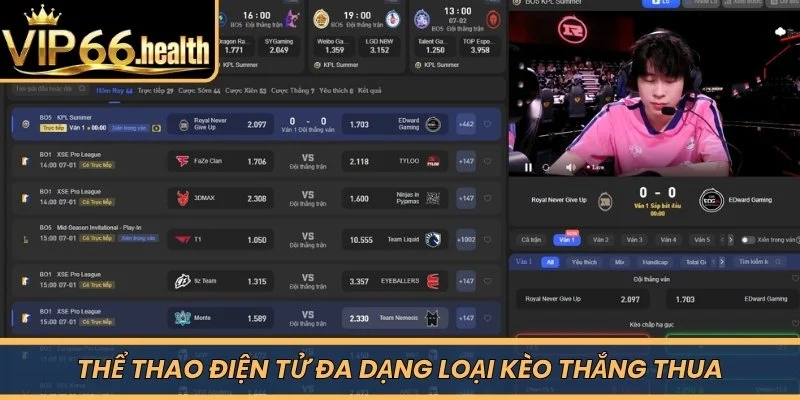 Thể thao điện tử đa dạng loại kèo thắng thua 