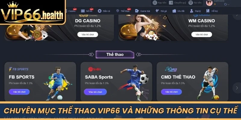 Chuyên mục Thể Thao VIP66 và những thông tin cụ thể 